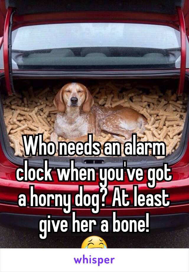 Who needs an alarm clock when you've got a horny dog? At least give her a bone!
😂