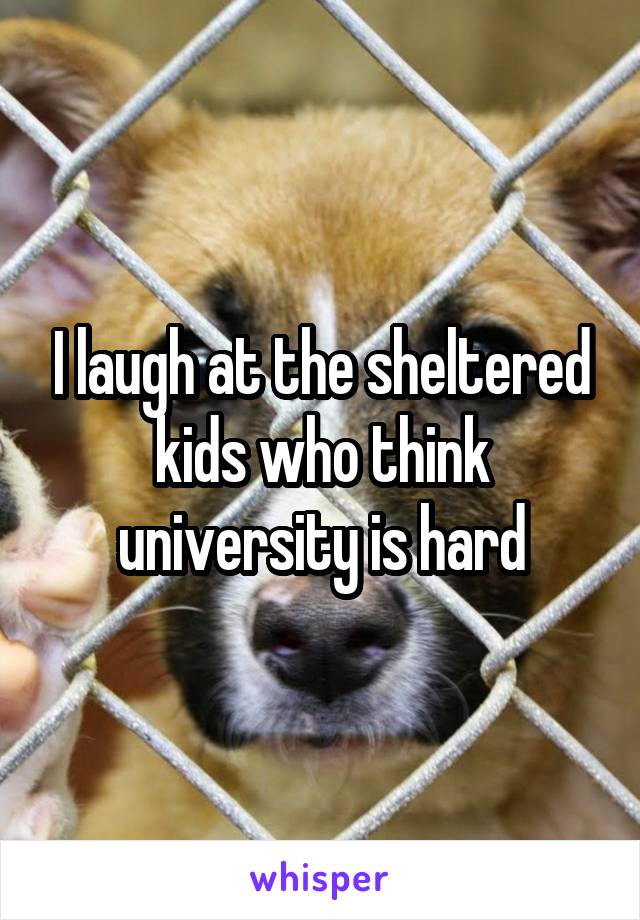 I laugh at the sheltered kids who think university is hard