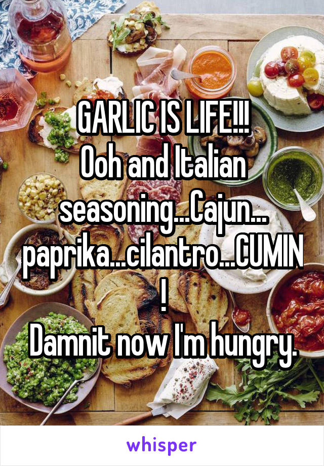 GARLIC IS LIFE!!!
Ooh and Italian seasoning...Cajun...
paprika...cilantro...CUMIN!
Damnit now I'm hungry.