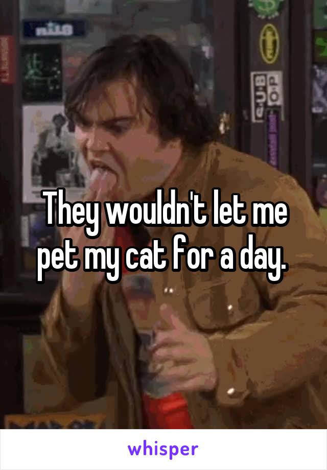 They wouldn't let me pet my cat for a day. 