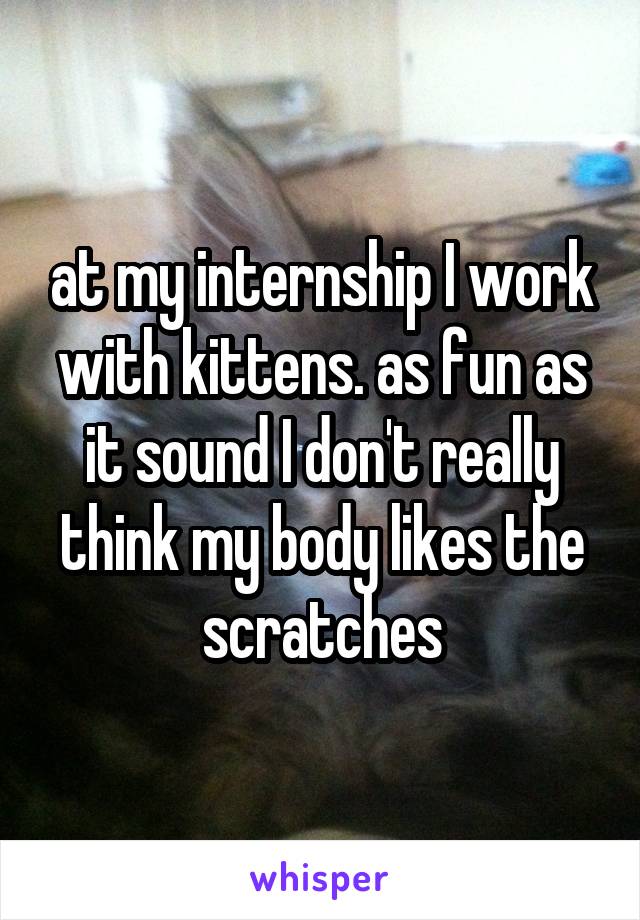 at my internship I work with kittens. as fun as it sound I don't really think my body likes the scratches