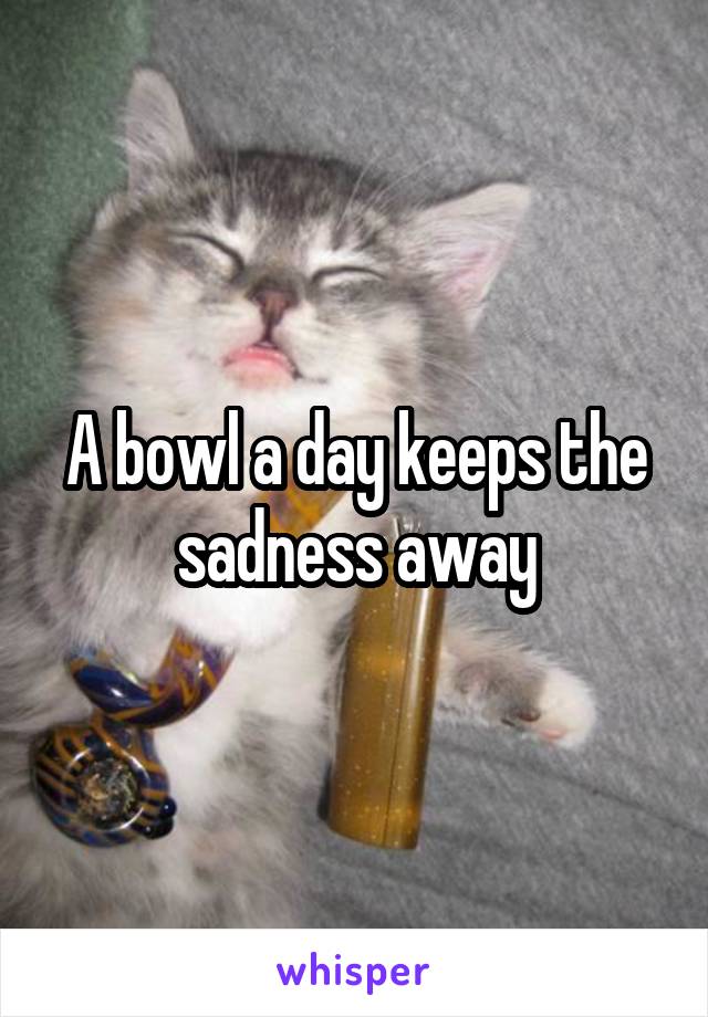 A bowl a day keeps the sadness away
