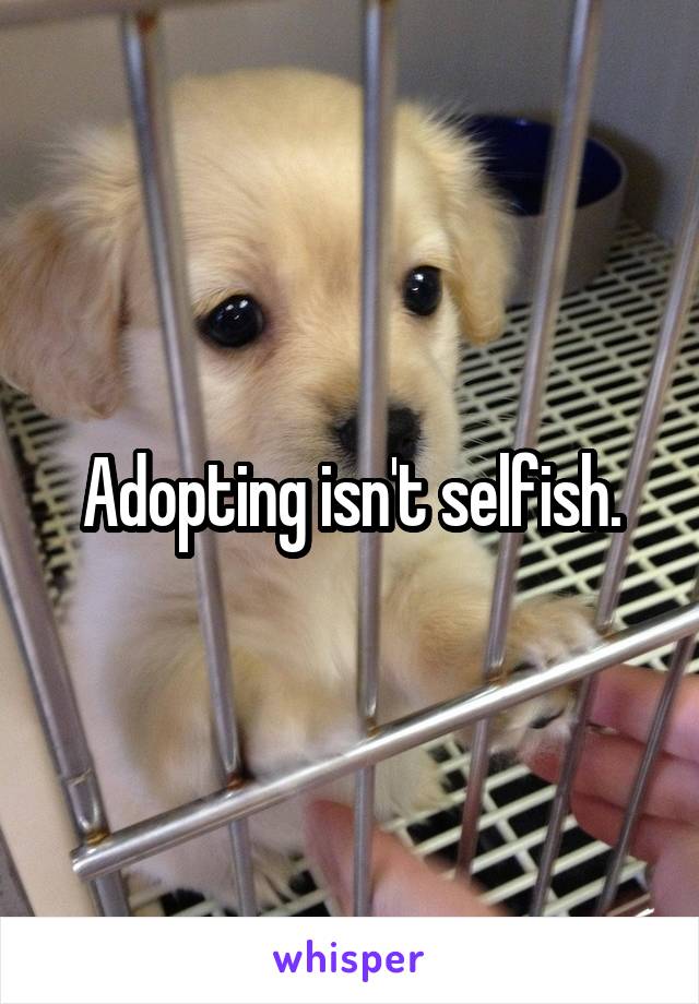 Adopting isn't selfish.