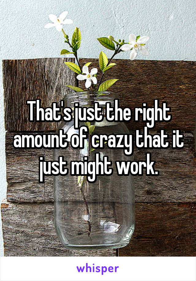 That's just the right amount of crazy that it just might work.