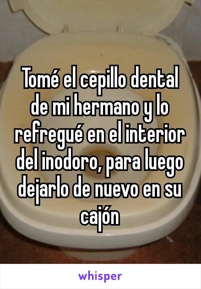 Tomé el cepillo dental de mi hermano y lo refregué en el interior del inodoro, para luego dejarlo de nuevo en su cajón