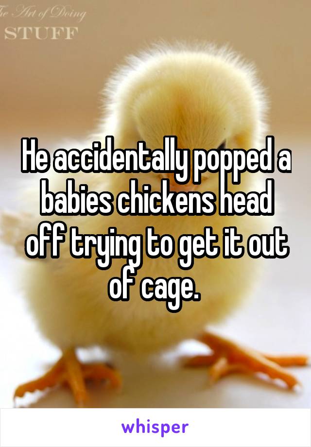 He accidentally popped a babies chickens head off trying to get it out of cage. 