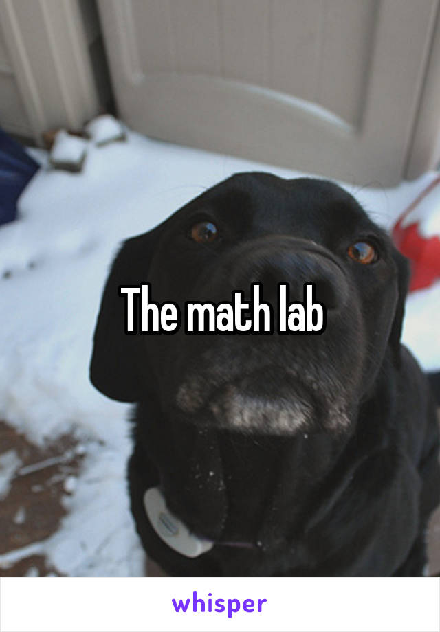 The math lab