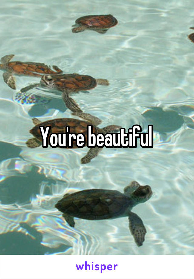 You're beautiful 