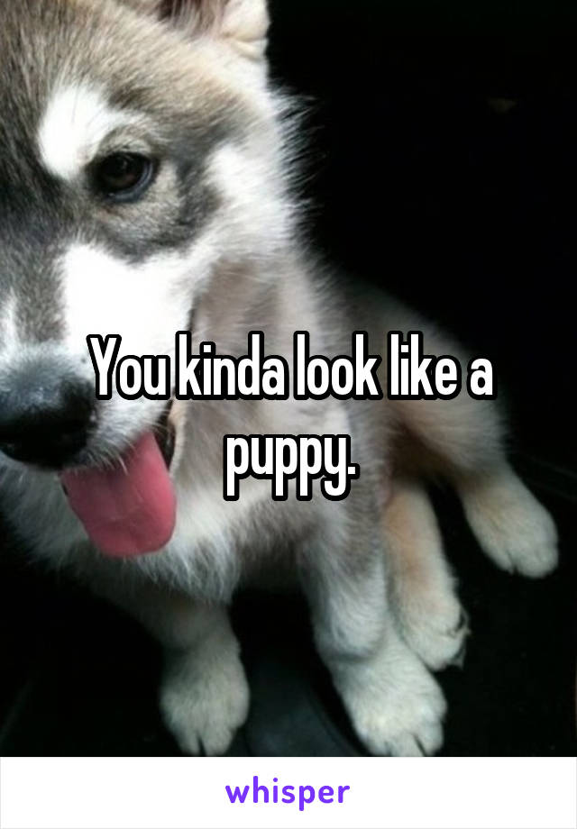 You kinda look like a puppy.