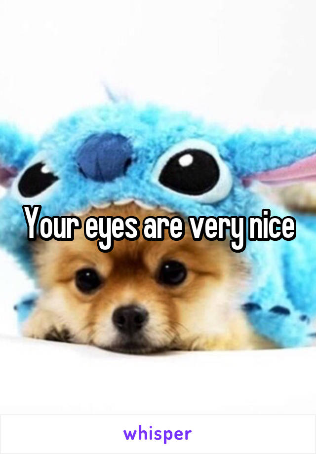 Your eyes are very nice