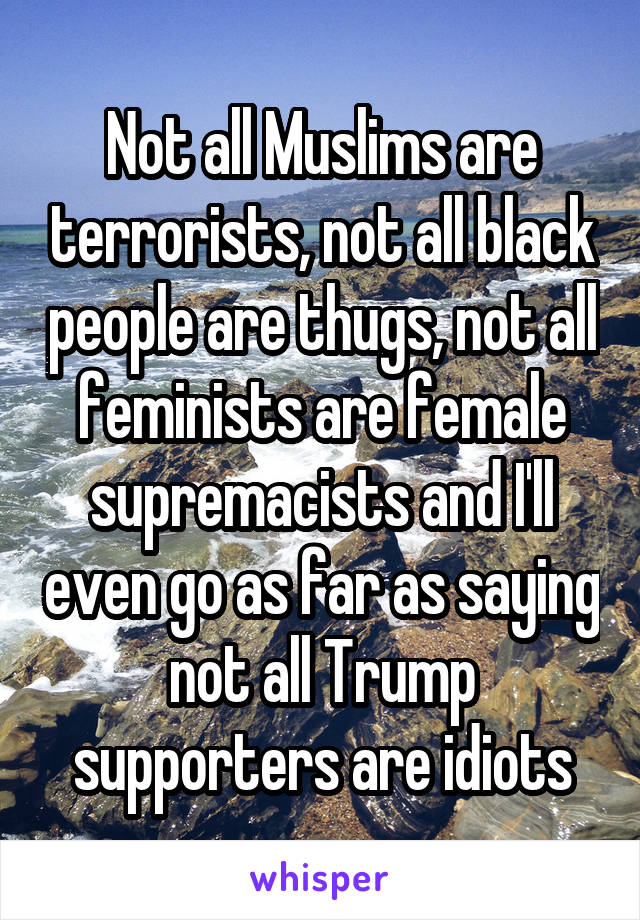 Not all Muslims are terrorists, not all black people are thugs, not all feminists are female supremacists and I'll even go as far as saying not all Trump supporters are idiots