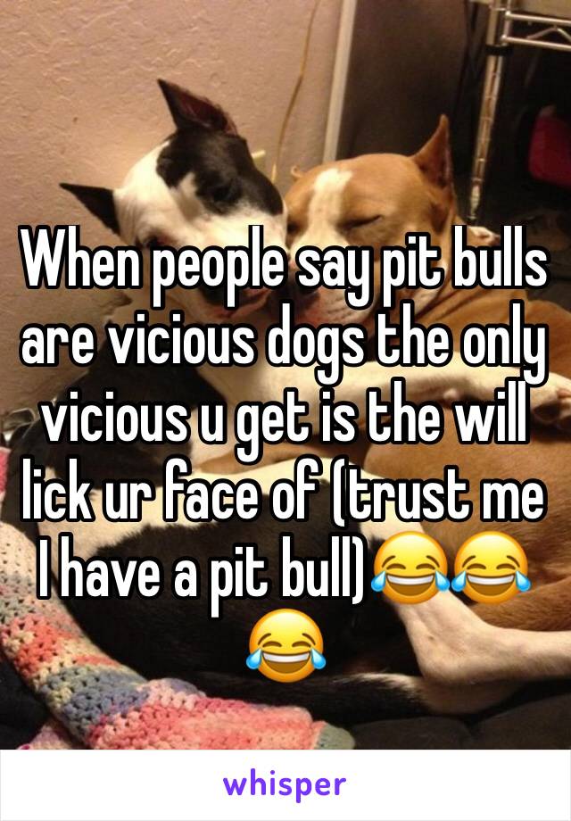 When people say pit bulls are vicious dogs the only vicious u get is the will lick ur face of (trust me I have a pit bull)😂😂😂