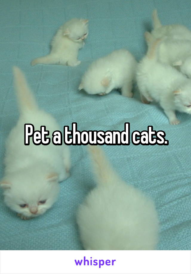 Pet a thousand cats.