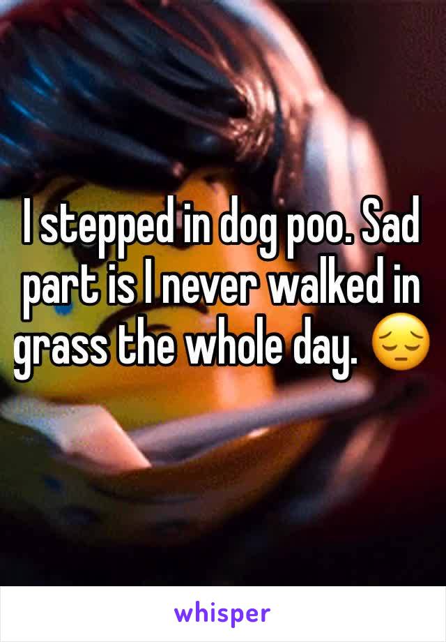 I stepped in dog poo. Sad part is I never walked in grass the whole day. 😔
