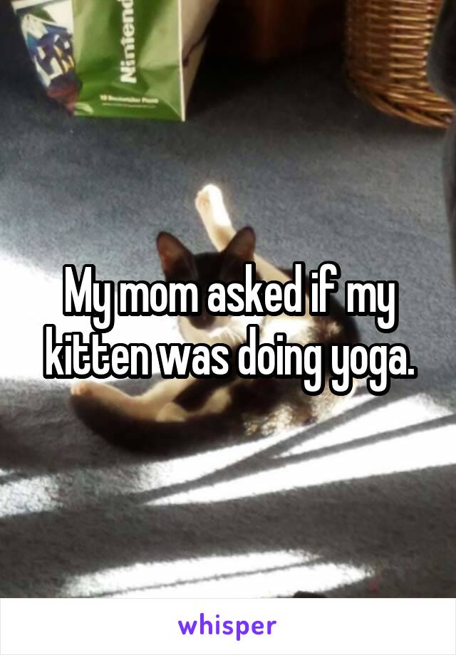 My mom asked if my kitten was doing yoga.