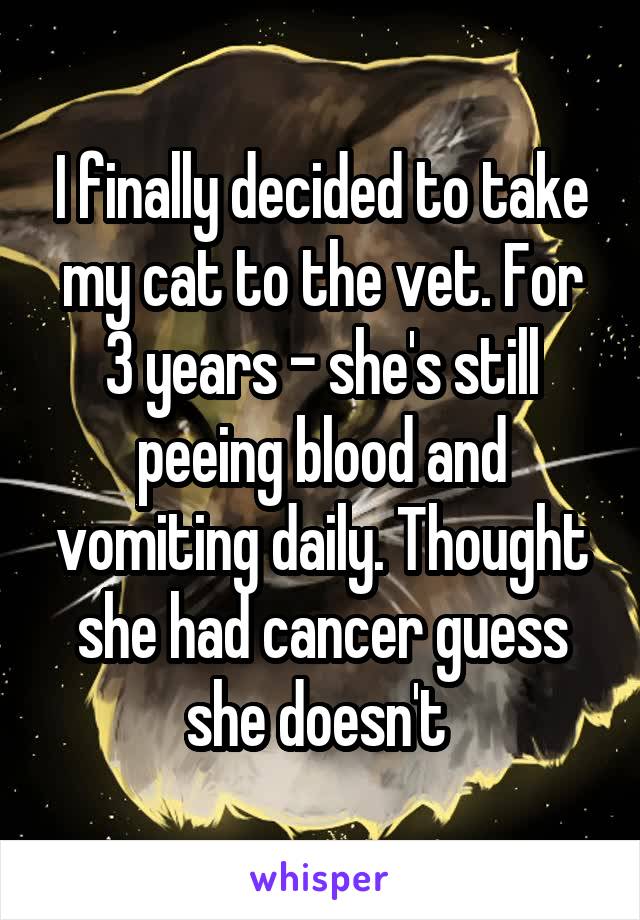 I finally decided to take my cat to the vet. For 3 years - she's still peeing blood and vomiting daily. Thought she had cancer guess she doesn't 