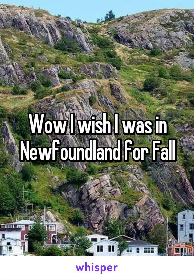 Wow I wish I was in Newfoundland for Fall