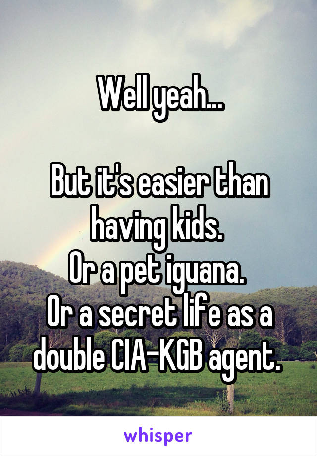 Well yeah...

But it's easier than having kids. 
Or a pet iguana. 
Or a secret life as a double CIA-KGB agent. 
