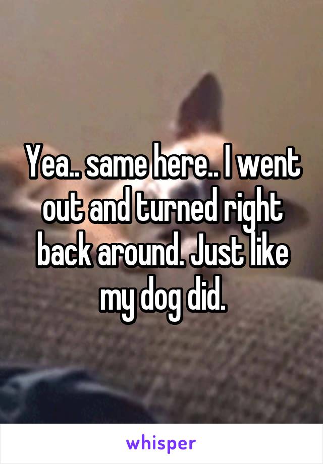Yea.. same here.. I went out and turned right back around. Just like my dog did.