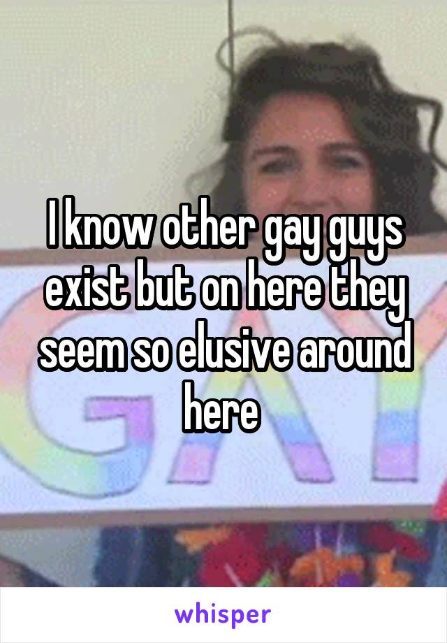 I know other gay guys exist but on here they seem so elusive around here 