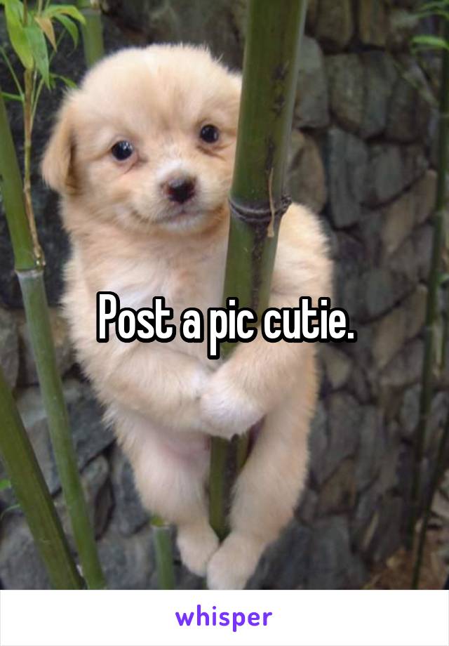 Post a pic cutie.