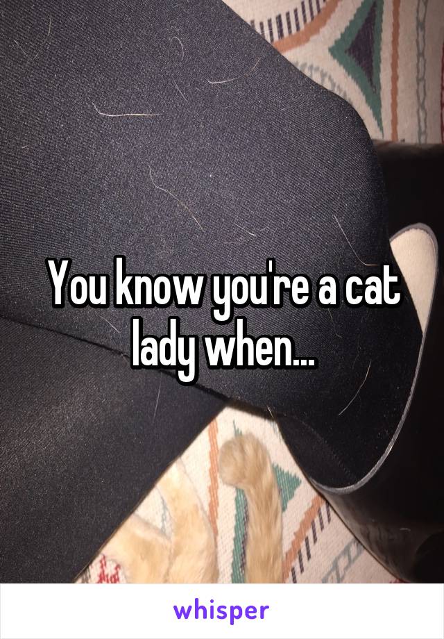 You know you're a cat lady when...