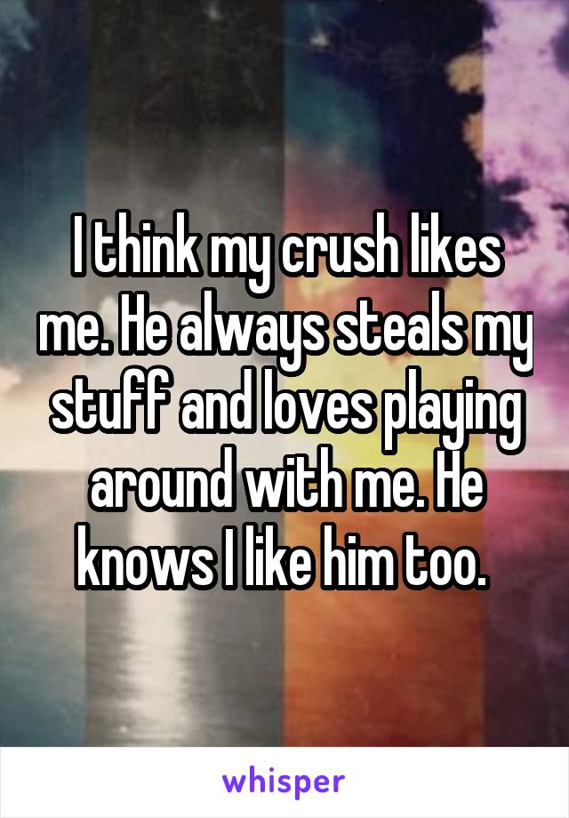 I think my crush likes me. He always steals my stuff and loves playing around with me. He knows I like him too. 