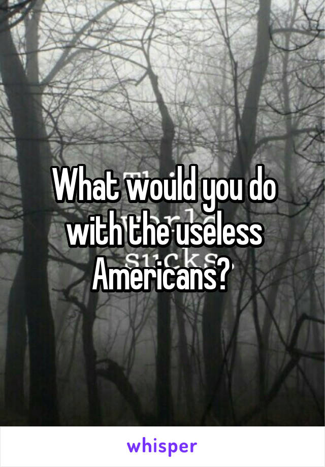 What would you do with the useless Americans? 