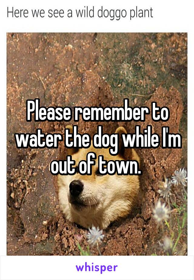 Please remember to water the dog while I'm out of town. 