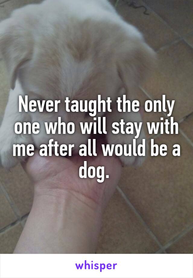 Never taught the only one who will stay with me after all would be a dog. 