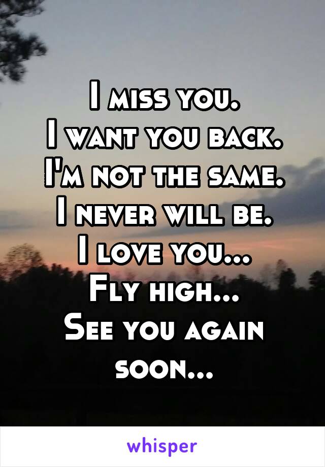 I miss you.
I want you back.
I'm not the same.
I never will be.
I love you...
Fly high...
See you again soon...