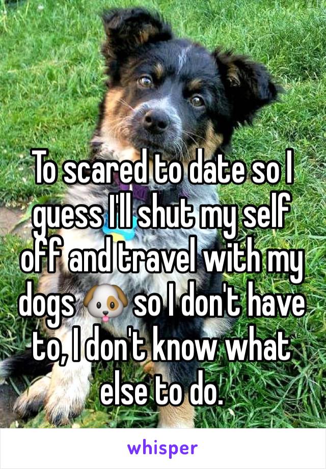 To scared to date so I guess I'll shut my self off and travel with my dogs 🐶 so I don't have to, I don't know what else to do. 