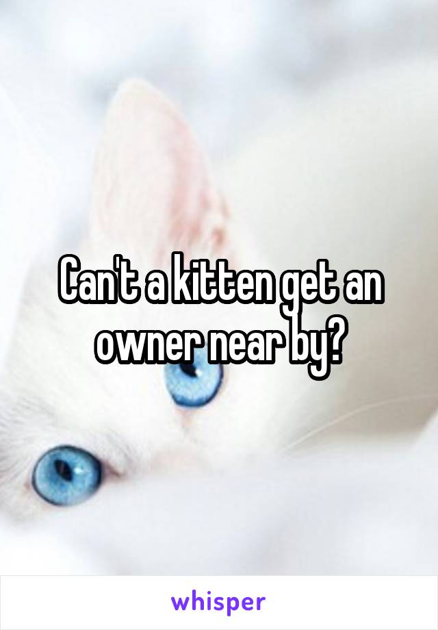 Can't a kitten get an owner near by?