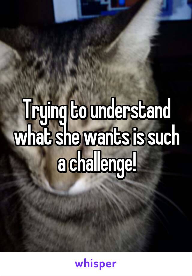 Trying to understand what she wants is such a challenge!
