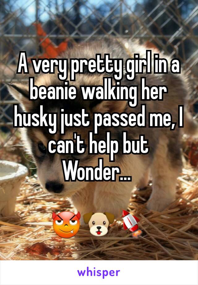 A very pretty girl in a beanie walking her husky just passed me, I can't help but Wonder... 

😈🐶🚀