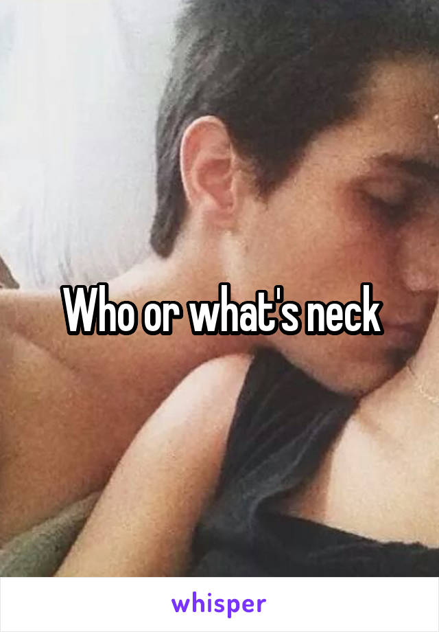 Who or what's neck