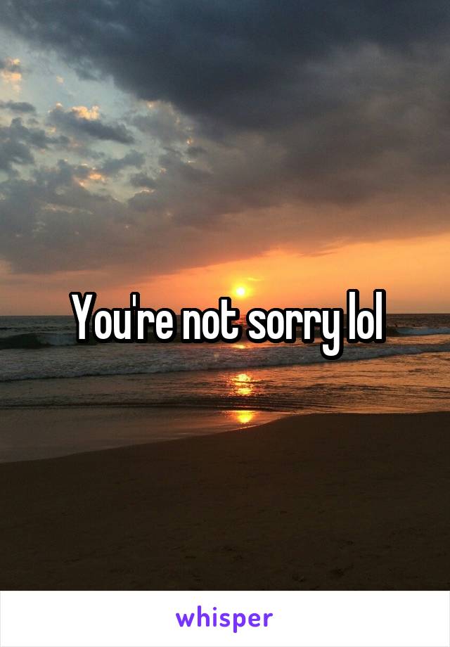 You're not sorry lol