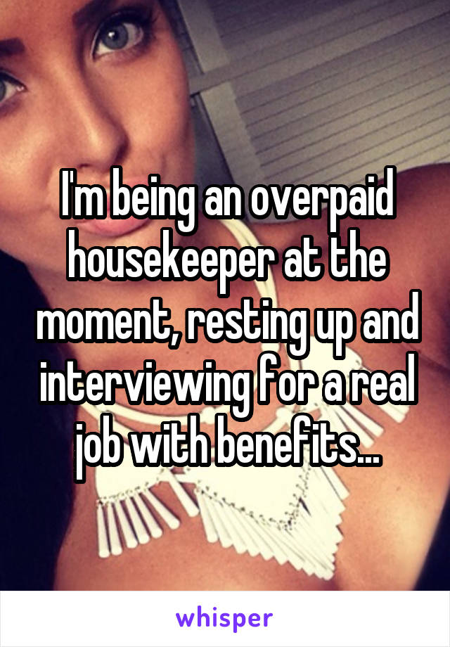 I'm being an overpaid housekeeper at the moment, resting up and interviewing for a real job with benefits...