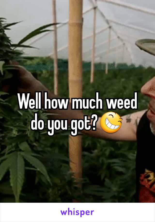 Well how much weed do you got?😆