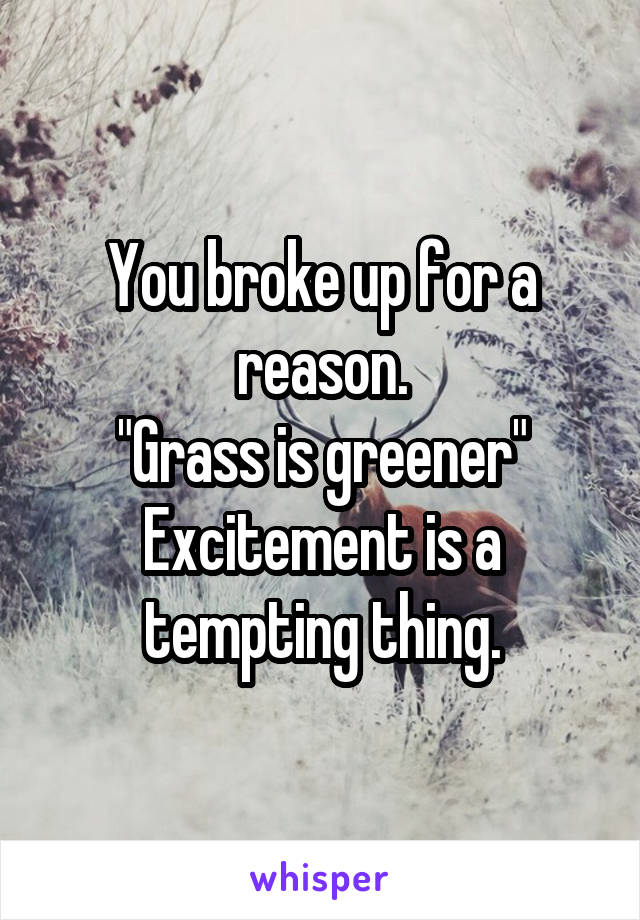 You broke up for a reason.
"Grass is greener"
Excitement is a tempting thing.