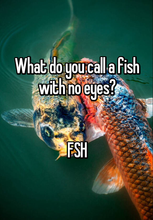 what-do-you-call-a-fish-with-no-eyes-fsh