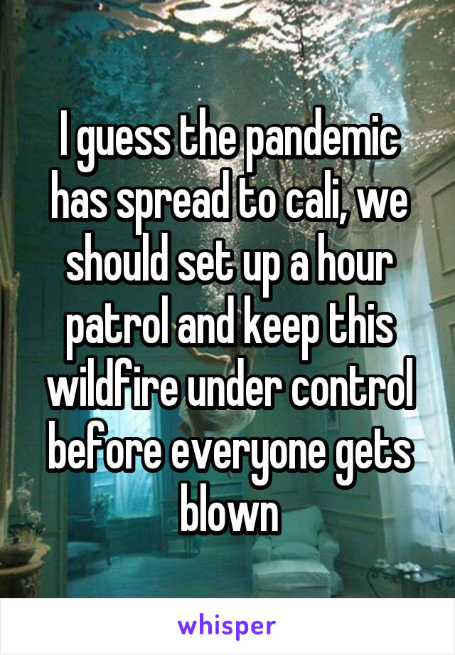 I guess the pandemic has spread to cali, we should set up a hour patrol and keep this wildfire under control before everyone gets blown