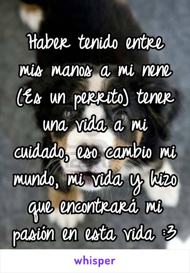 Haber tenido entre mis manos a mi nene (Es un perrito) tener una vida a mi cuidado, eso cambio mi mundo, mi vida y hizo que encontrará mi pasión en esta vida :3