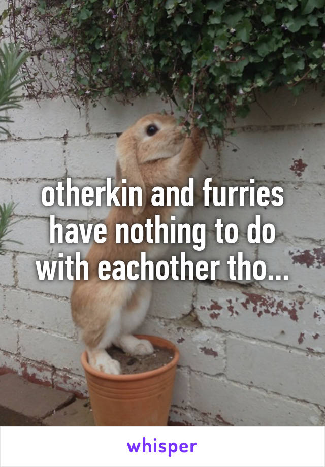 otherkin and furries have nothing to do with eachother tho...
