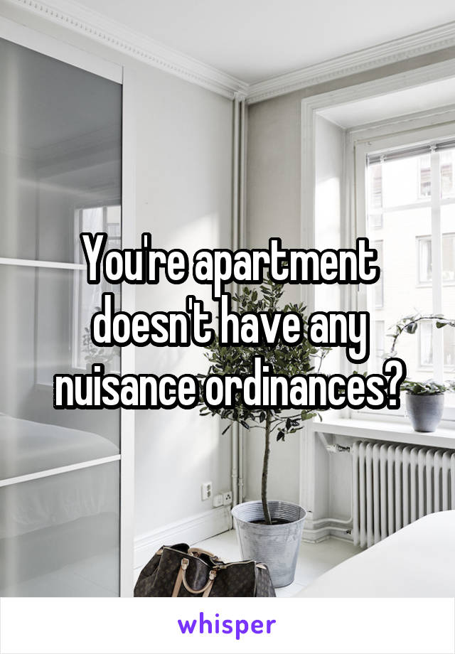You're apartment doesn't have any nuisance ordinances?