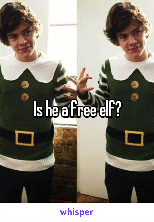 Is he a free elf?