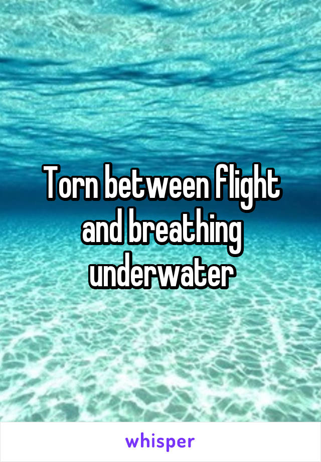 Torn between flight and breathing underwater