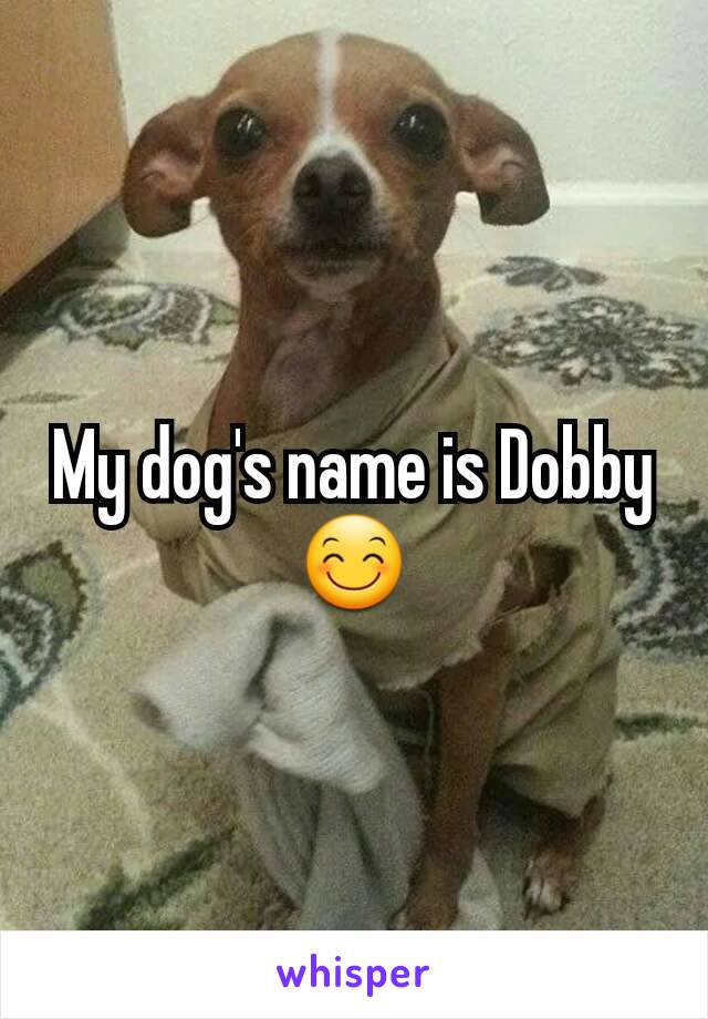 My dog's name is Dobby😊