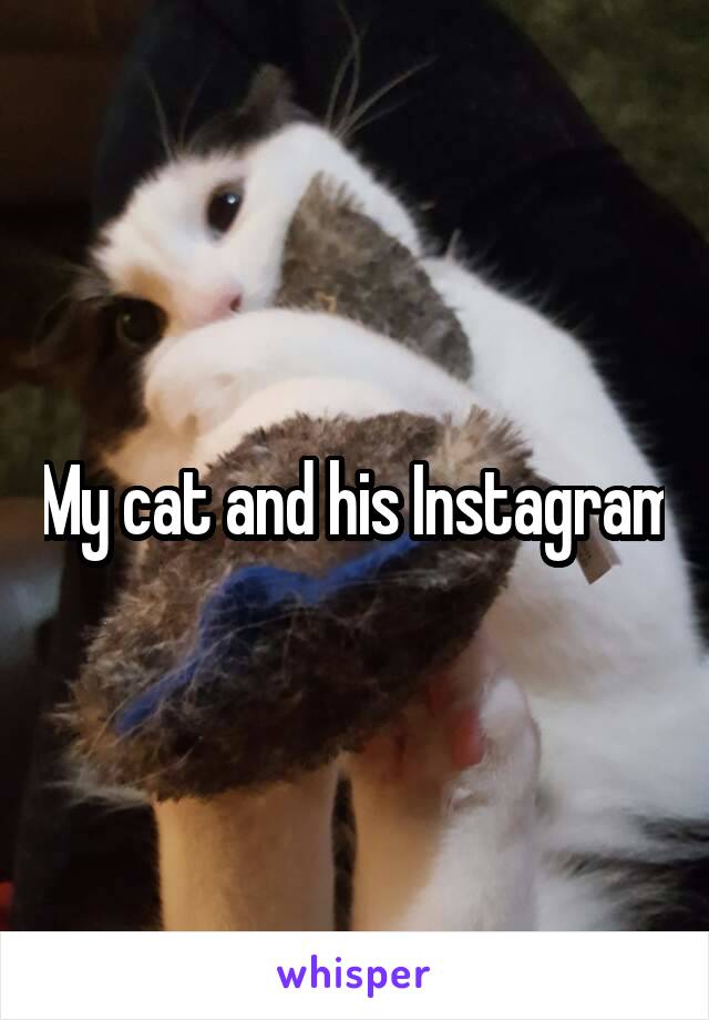 My cat and his Instagram