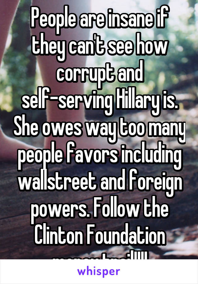 People are insane if they can't see how corrupt and self-serving Hillary is. She owes way too many people favors including wallstreet and foreign powers. Follow the Clinton Foundation money trail!!!!